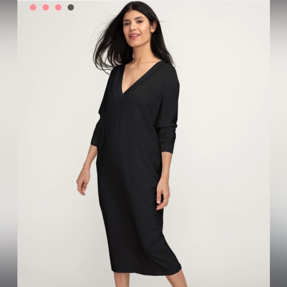 NWOT Hatch Visitor Dress